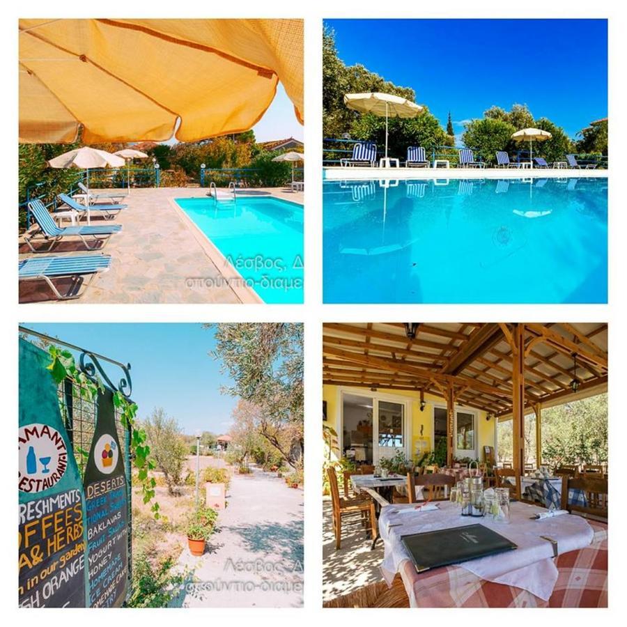 Diamanti Molivos Studios & Apartments Mithimna Dış mekan fotoğraf