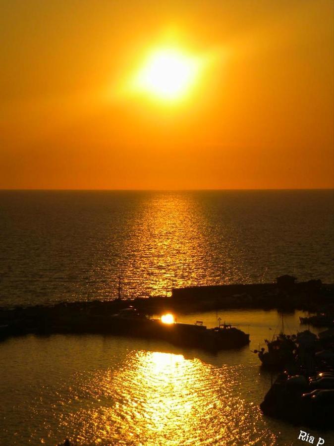 Diamanti Molivos Studios & Apartments Mithimna Dış mekan fotoğraf
